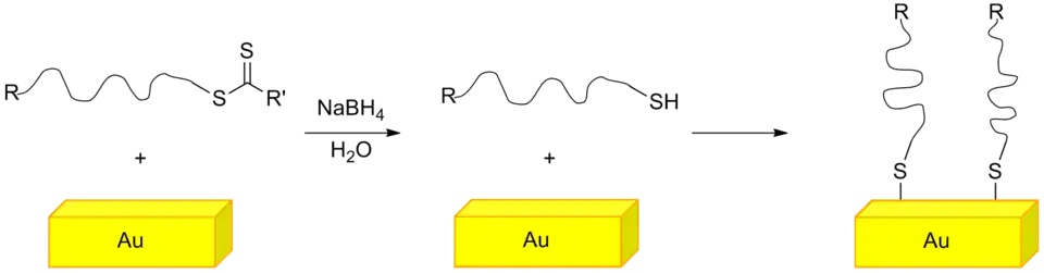 Grafting polymer on a gold surface utilizing the thiol functional end group