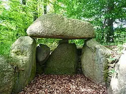 Megalithic tomb (Großsteingräber bei Flehm [de]) in Högsdorf