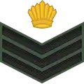 Staff sergeant (Guyana Army)[28]