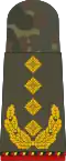 General (retired)
