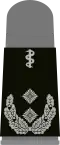 Oberfeldarzt (Army Senior Field Doctor, sweater mounting loop)