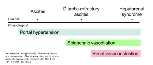 Diagram: ascites, diuretic-resistant ascites and hepatorenal syndrome are a spectrum of clinical features. Portal hypertension is associated with all three. Splanchnic vasodilation is associated with all but ascites. Kidney vasoconstriction is associated only with HRS.