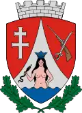 Coat of arms of Csokonyavisonta