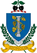 Coat of arms of Szomolya