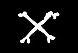 The 1724 book A General History of the Pyrates credited Every with flying a black flag emblazoned with two crossed bones forming an X.