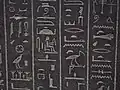 Hieroglyphs from Ankhnesneferibre's coffin; she was a Divine Adoratrice of Amun
