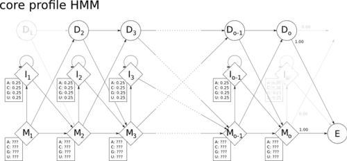 The core profile HMM architecture used by HMMER.