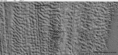 Open and closed-cell brain terrain, as seen by HiRISE, under HiWish program.