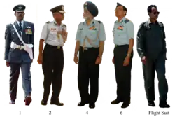 Indian Air Force uniforms, showing plastic bilingual name tags on ceremonial uniforms and an English cloth name tape on the flight suit