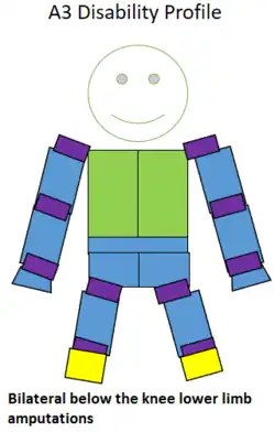 Visualization of an A3 classified swimmer competing in S8