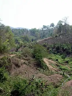 Countryside around the Mae Ping Elephant School, Inthakhin