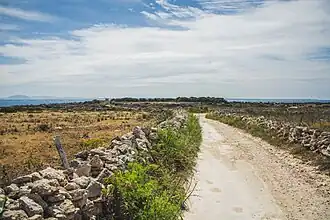 Favignana inland