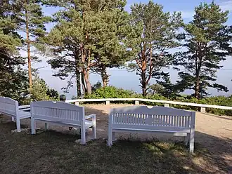 The "Italian view" in Skruzdinė