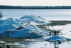 Hills of ice in April.