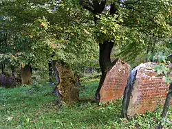 Jewish cemetery in Rymanów