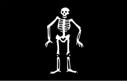 Interpretation of Skyrme's consort-flag based on the Chaloner Ogle-description