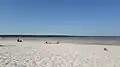 Beach in Kakumäe