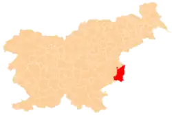 Location of the Municipality of Brezice in Slovenia