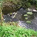 The weir on the Stevenston Burn in the Kerelaw Glen
