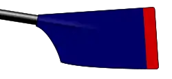 Image showing the rowing club's blade colours