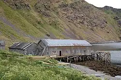 A long wooden building sits on stilts driven into the shore. It, and the nearby buildings are abandoned, grey, and falling apart. A green mountain rises up in the background, flowers and grass in the foreground.