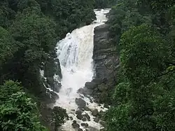 Valara Waterfalls from National Highway 49