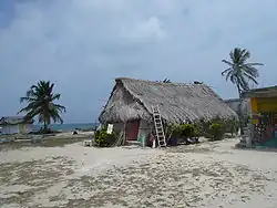 Image 4Guna house in Guna Yala, 2007 (from Indigenous peoples of Panama)