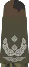 b. Mounting loop with bright-grey emblem on stone-olive base textile – Luftwaffe (here: lieutenant colonel)