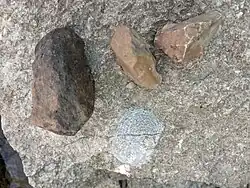 Chert nodules and a fossil imprint in Cement City Limestone, Dewey Formation, Upper Linn Subgroup, Kansas City Group, Missourian Series, Pennsylvanian System. Several of the limestone formations in the Kansas City Group are cherty.