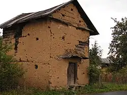 last example a daub faced laimes