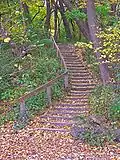 Stairs leading from the Lakeshore Path to Muir Woods