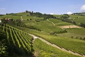 Image 62Vineyard Landscape of Piedmont: Langhe-Roero and Monferrato (from Culture of Italy)