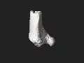 Isolated bone (PN3083) -3D