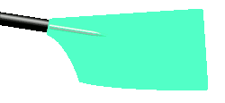 Image showing the rowing club's blade colours