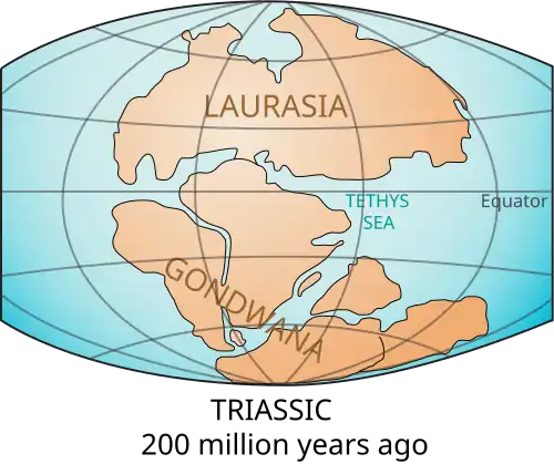 World map showing the continents circa 200 million years ago (Triassic period)