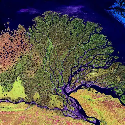 A satellite photo of a large river delta with many branching paths
