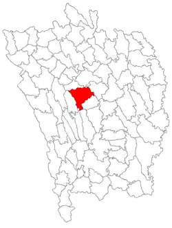 Location in Vaslui County