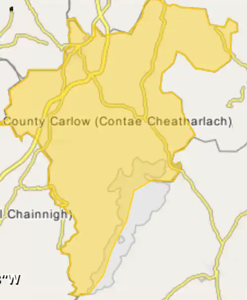 Cathedral of the Assumption is located in County Carlow