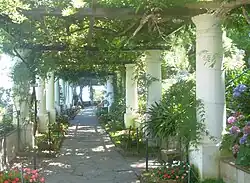 Pergola