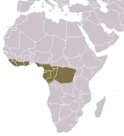 Map showing the range of a host for I. sanghae, the black-bellied pangolin