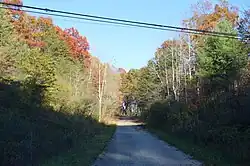 Forested road south of Carbon Hill