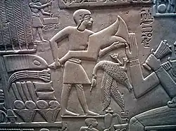 Foreleg of ox being offered.