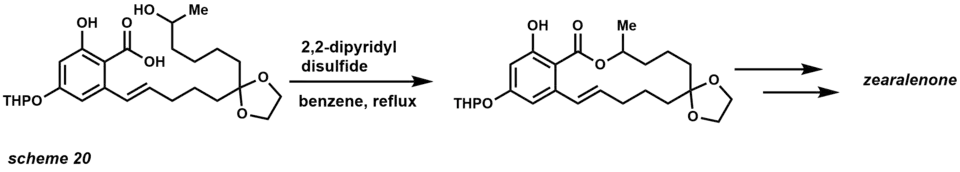 macrolactonization total synthesis example