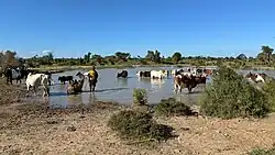 The typical scenery of Androy