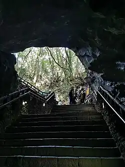 Looking out the exit of the cave (2020)