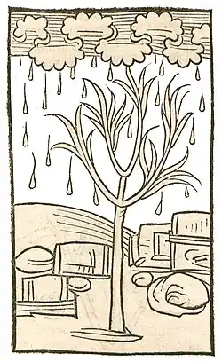 Book I, chapter 275. Manna