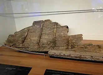Wooden shipwreck remains displayed in a glass case on a wooden floor.