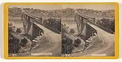 Nine dark-skinned African-American children, all naked, several with exposed male genitalia, all appearing to be toddlers between ages one and three, sit or stand in a variety of body positions; original caption reads Alligator bait with a copyright notice by McCrary & Branson of Knoxville, Tennessee dated 1897