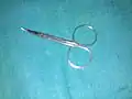 Conjunctival sac scissors