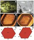 Figure 1. (a, b, d) Optical images of meridianiite, MgSO4•11H2O. Courtesy Genceli et al. 2007.
